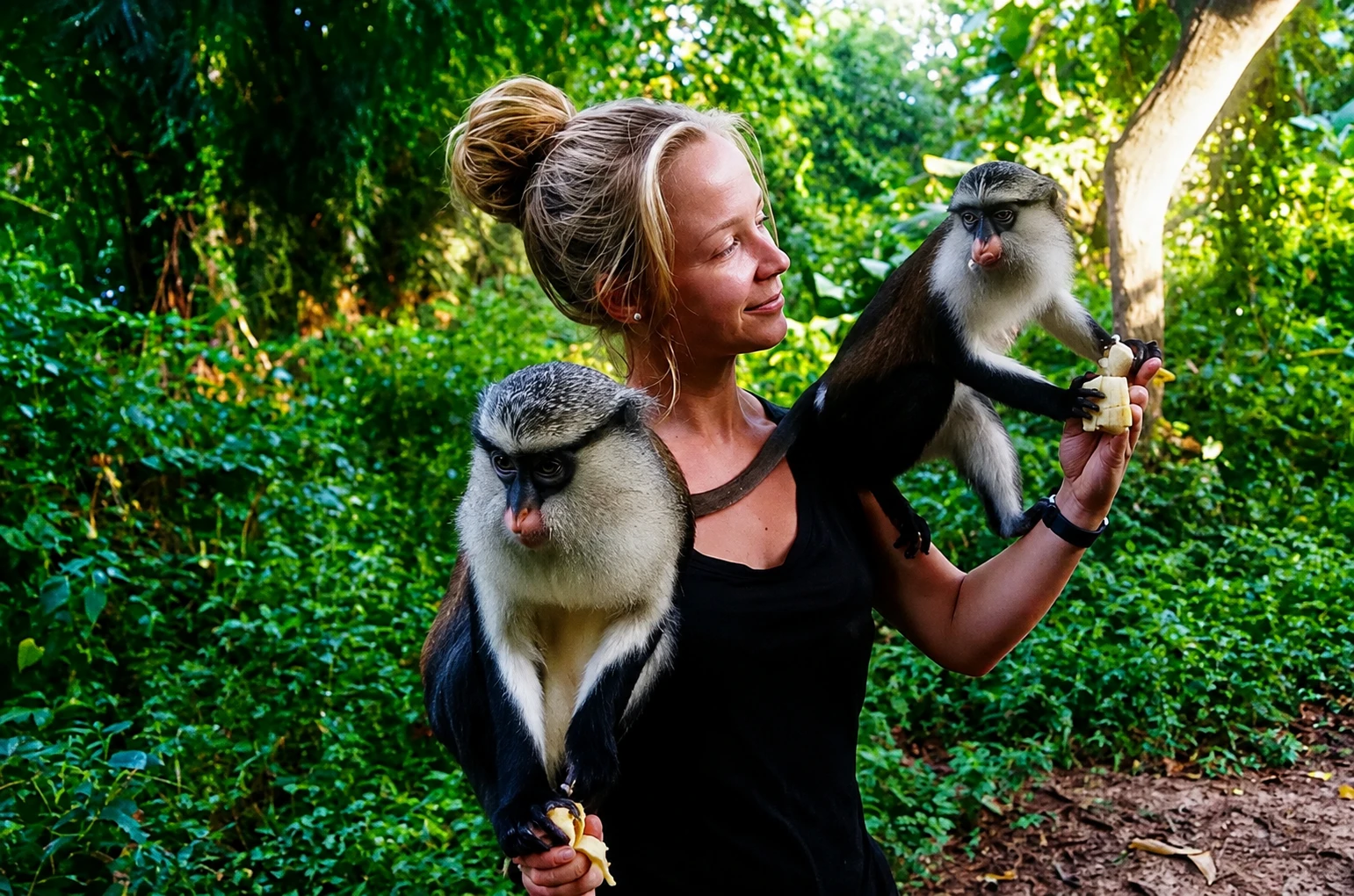 Tafi Atome Monkey Sanctuary